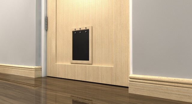 Cat Flap Installation Havering-atte-Bower, Abridge, RM4